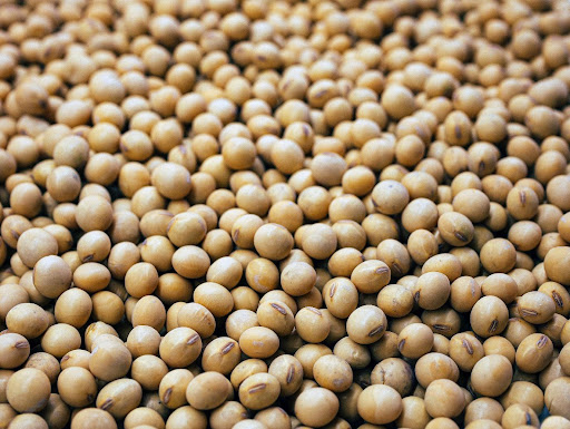 What Is the Reason Behind the US’s Large Soy Production
